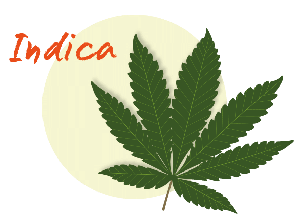 indica