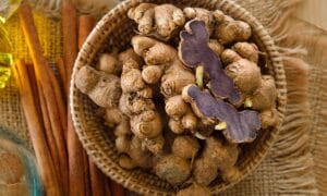 กระชายดำ