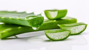 ว่านห่างจระเข้