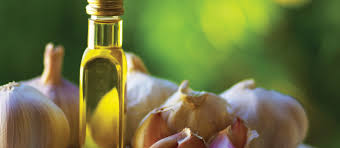 น้ำมันกระเทียม