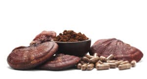 เห็ดหลินจือ