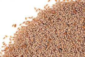 เมล็ดเทียนเกล็ดหอย