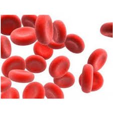 เม็ดเลือดแดง