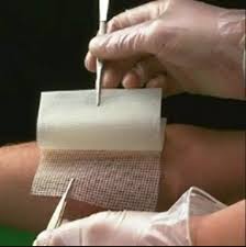 แผ่นแบคทริกลาส